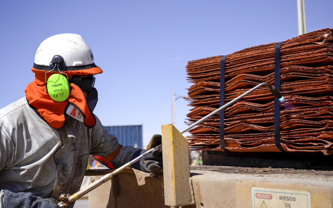 Equipo de Área Húmeda logra reemplazar cera para aislar superficie de cátodos de cobre
