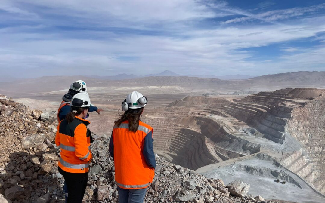 Verificación corporativa ambiental: destacan el avance cultural de la Compañía