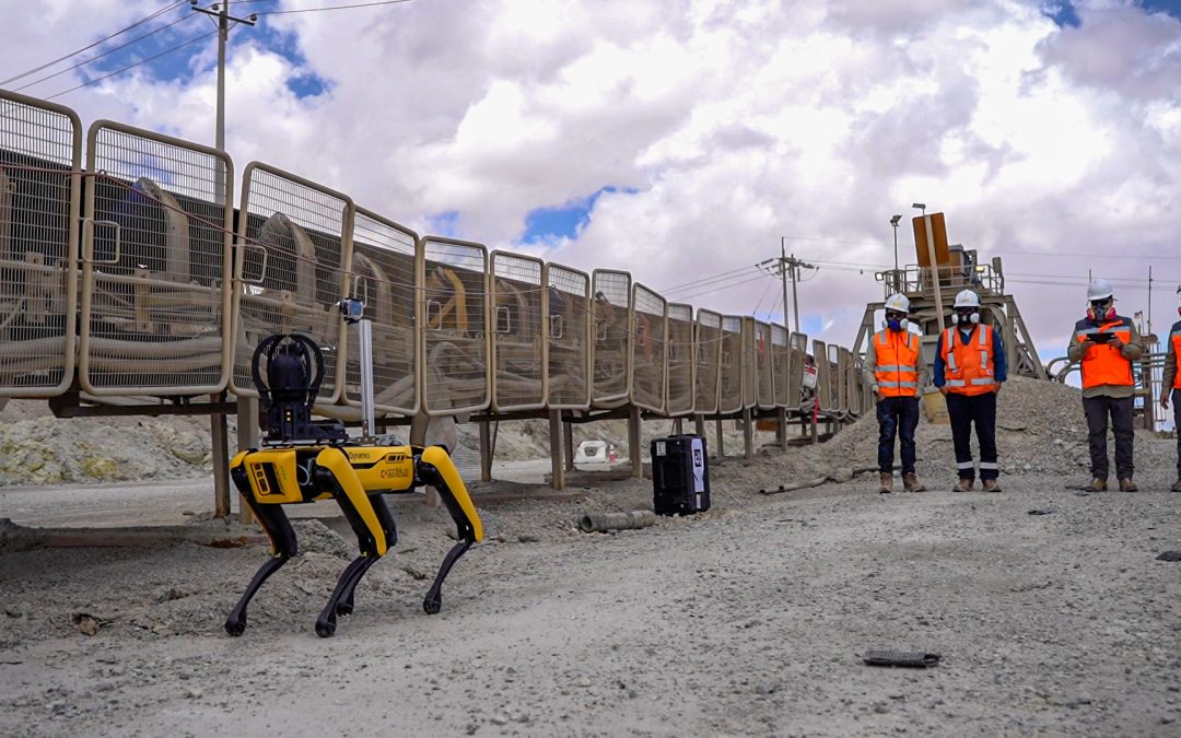 ¡Éxito total! Robot ‘Spot’ tuvo positiva evaluación en el Directorio de Innovación de Antofagasta Minerals