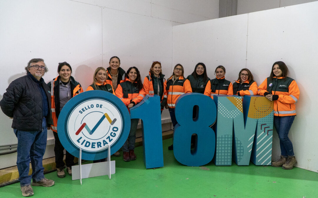 Equipos balanceados: dotación femenina en Minera Zaldívar alcanzó un 14.7% en 2023