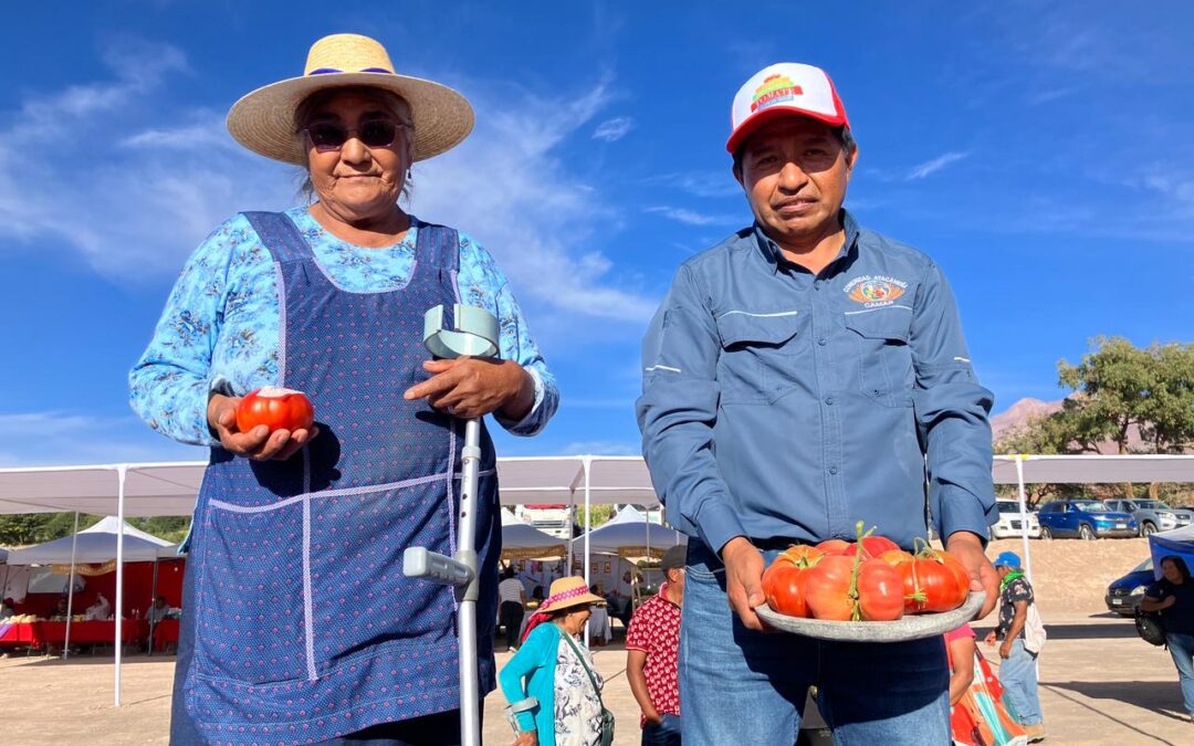 Más de tres mil personas disfrutaron de la Fiesta del Tomate en Camar