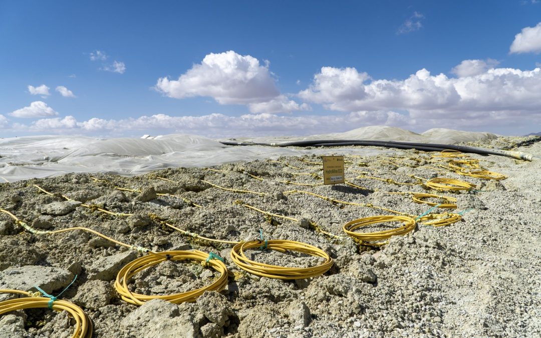 Área Húmeda implementará software para riego inteligente