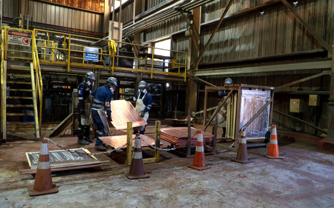 Nueva normativa fortalecerá la prevención de riesgos musculoesqueléticos