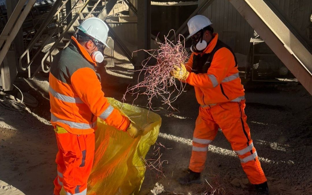 Área Seca impulsa iniciativas para fortalecer orden y eficiencia operacional